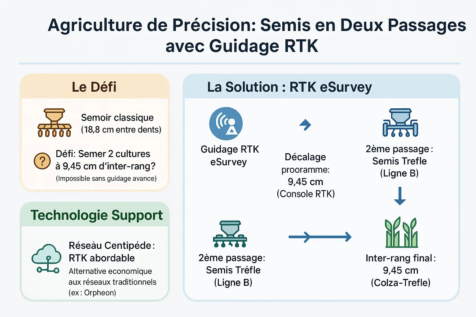 Semis intercalaire de colza et trèfle avec guidage RTK